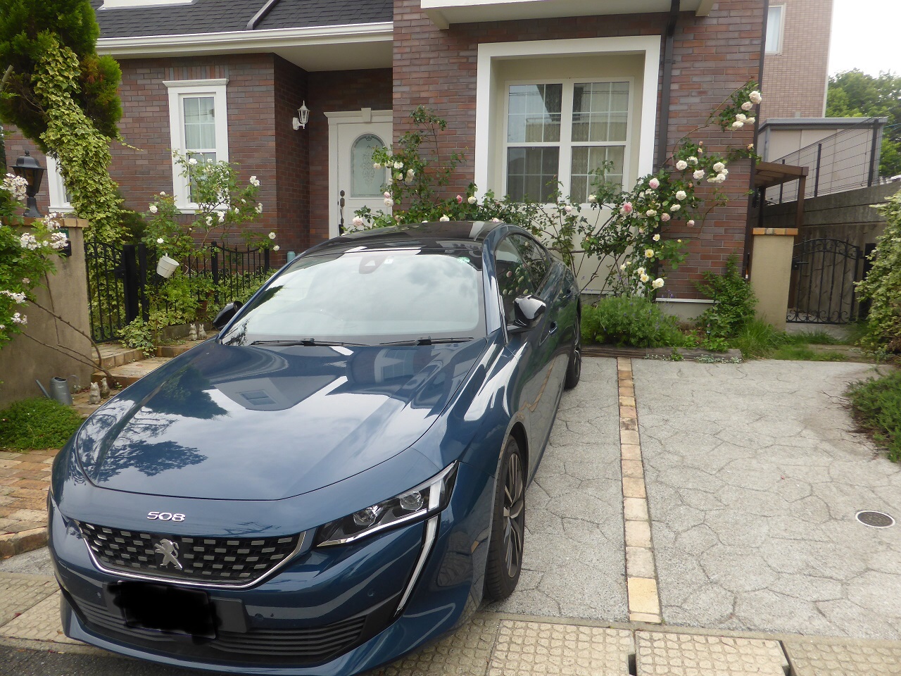 薔薇と508GT BlueHDi