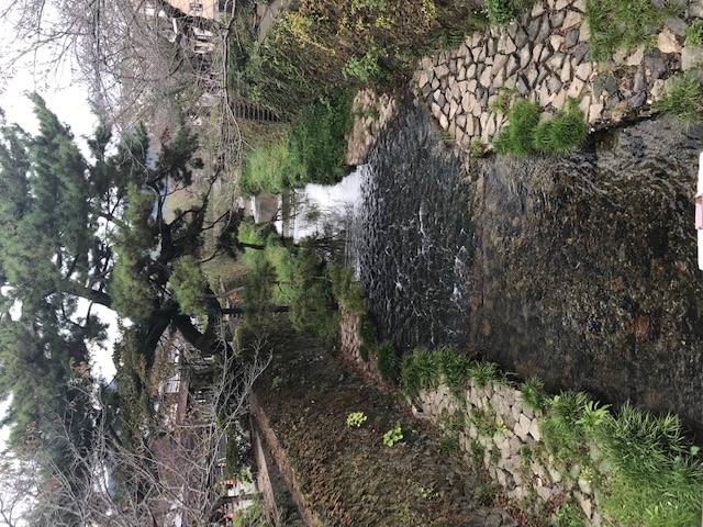 一の坂川沿いをウォーキング