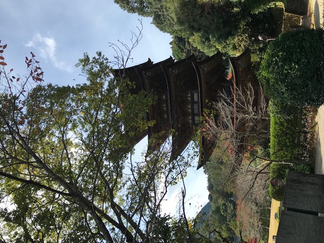 瑠璃光寺五重塔