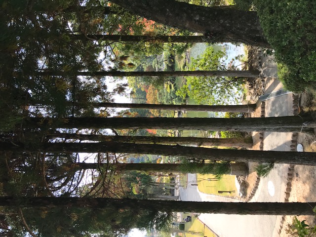 瑠璃光寺五重塔
