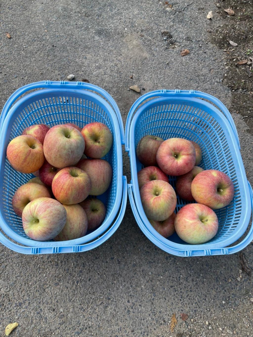 岩佐りんご園
