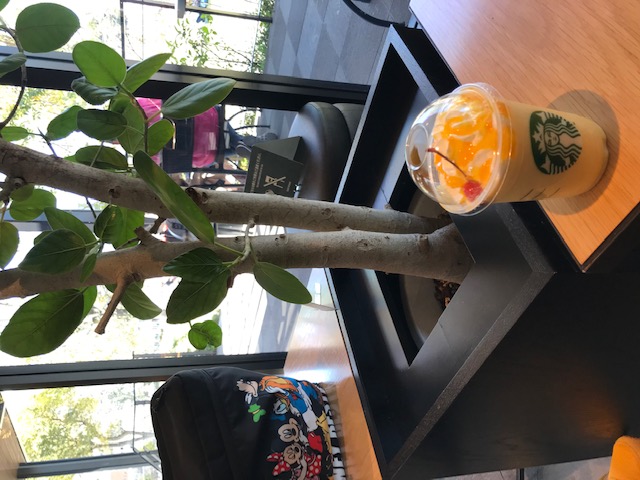 お花見2