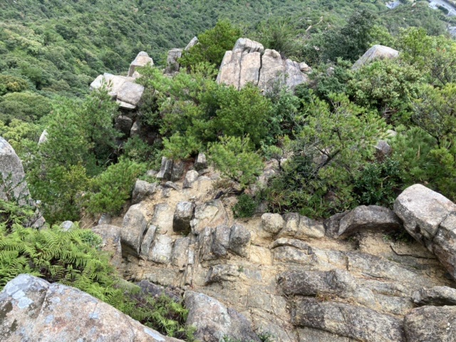 スポーツの日は　右田ヶ岳登頂