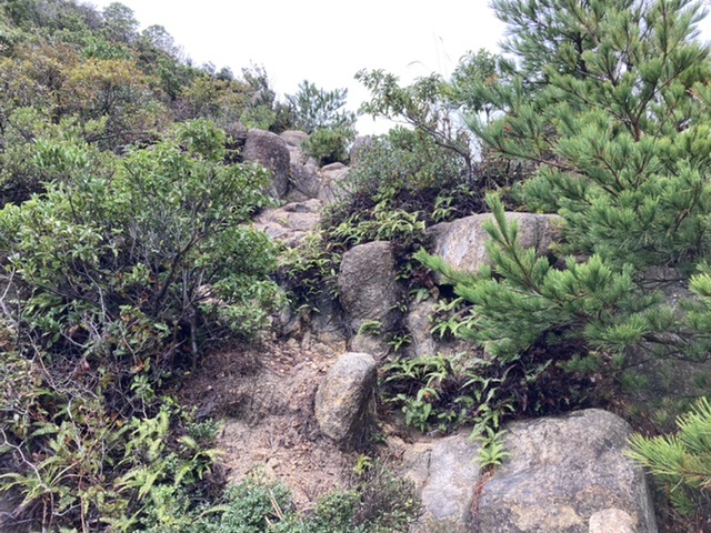 スポーツの日は　右田ヶ岳登頂