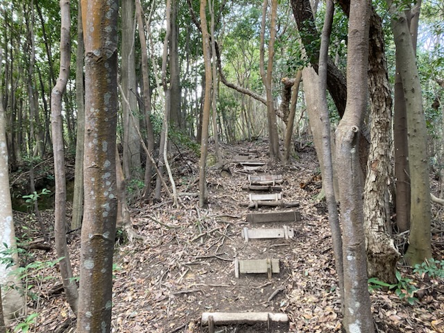 右田ヶ岳復活登山