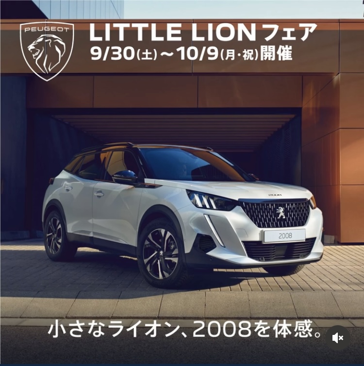 LITTLE LIONフェアは本日から！