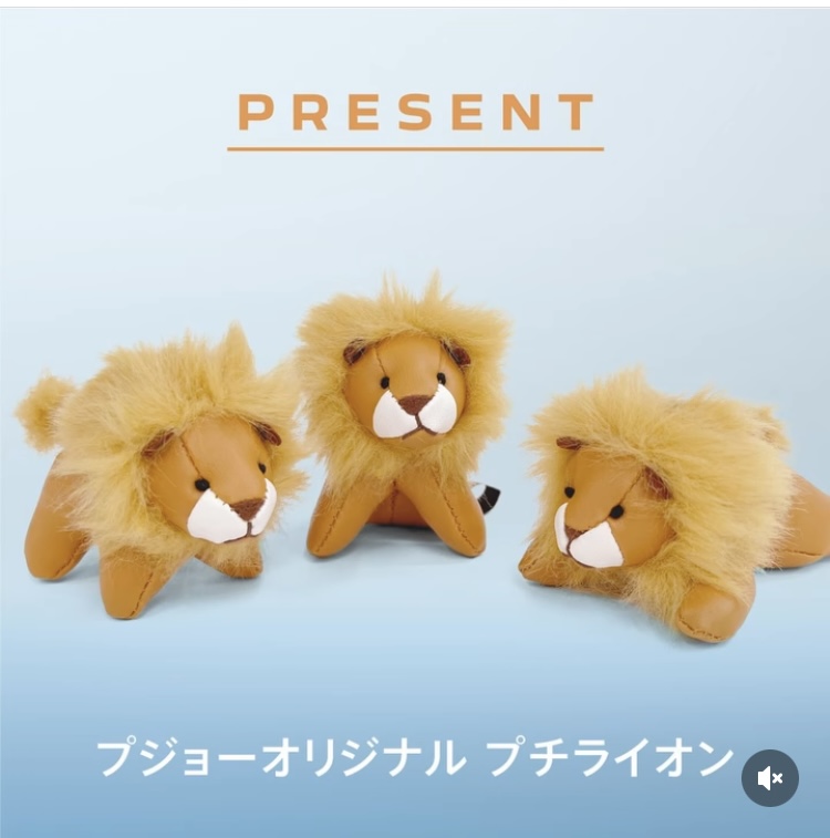 LITTLE LIONフェアは本日から！