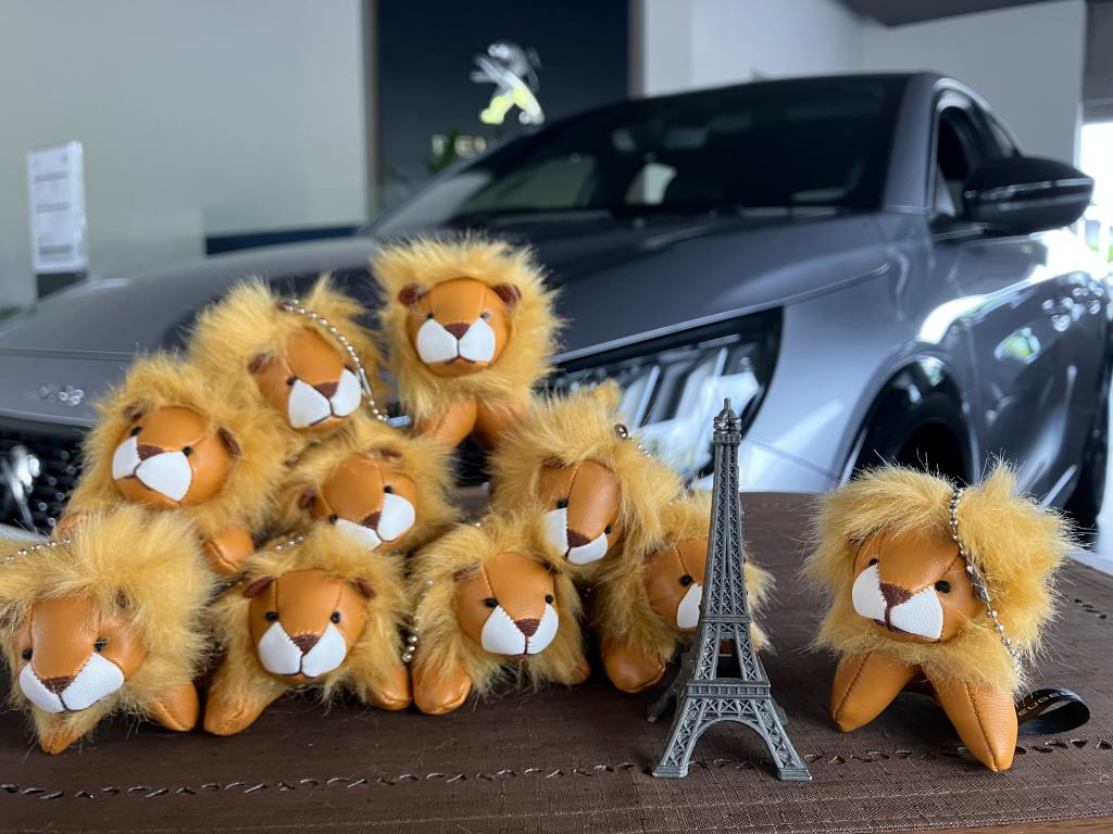 LITTLE LIONフェアは本日から！