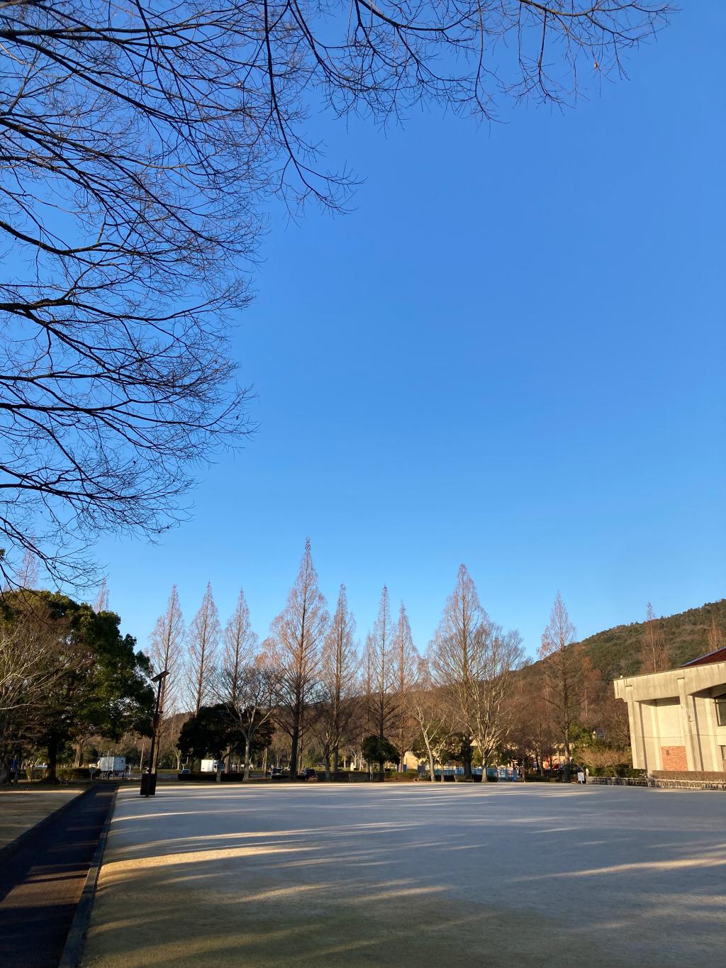 今朝の維新公園