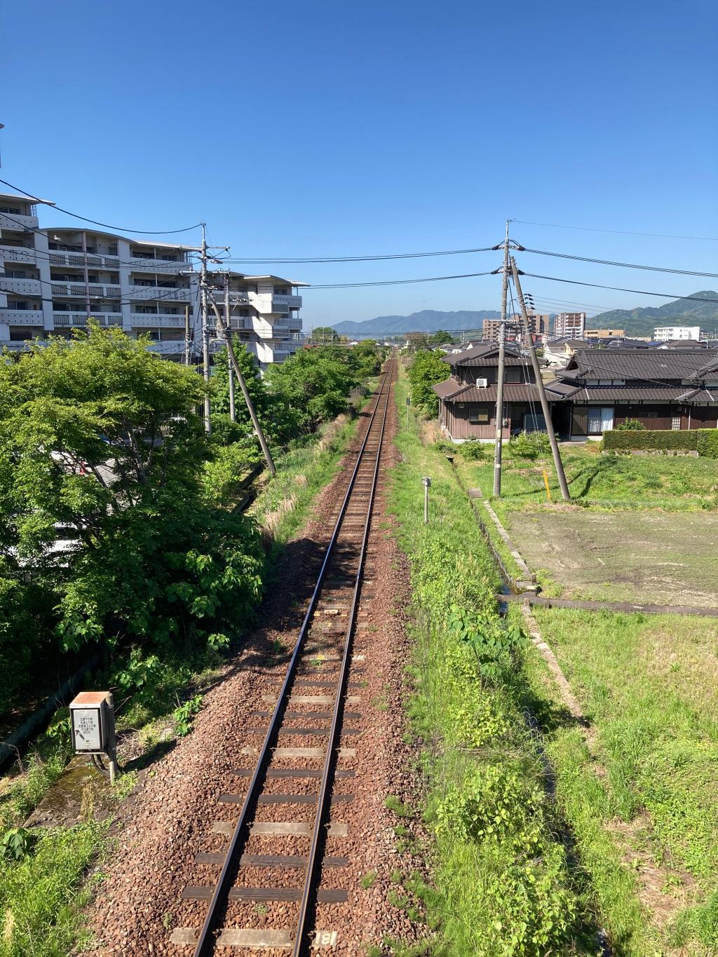 椹野川リカバリーラン