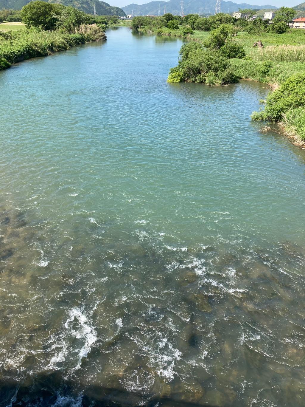 椹野川リカバリーラン