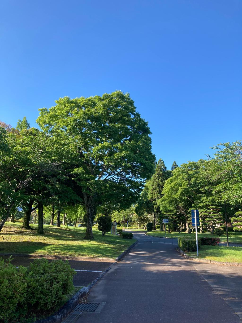 わたくしの通勤コース