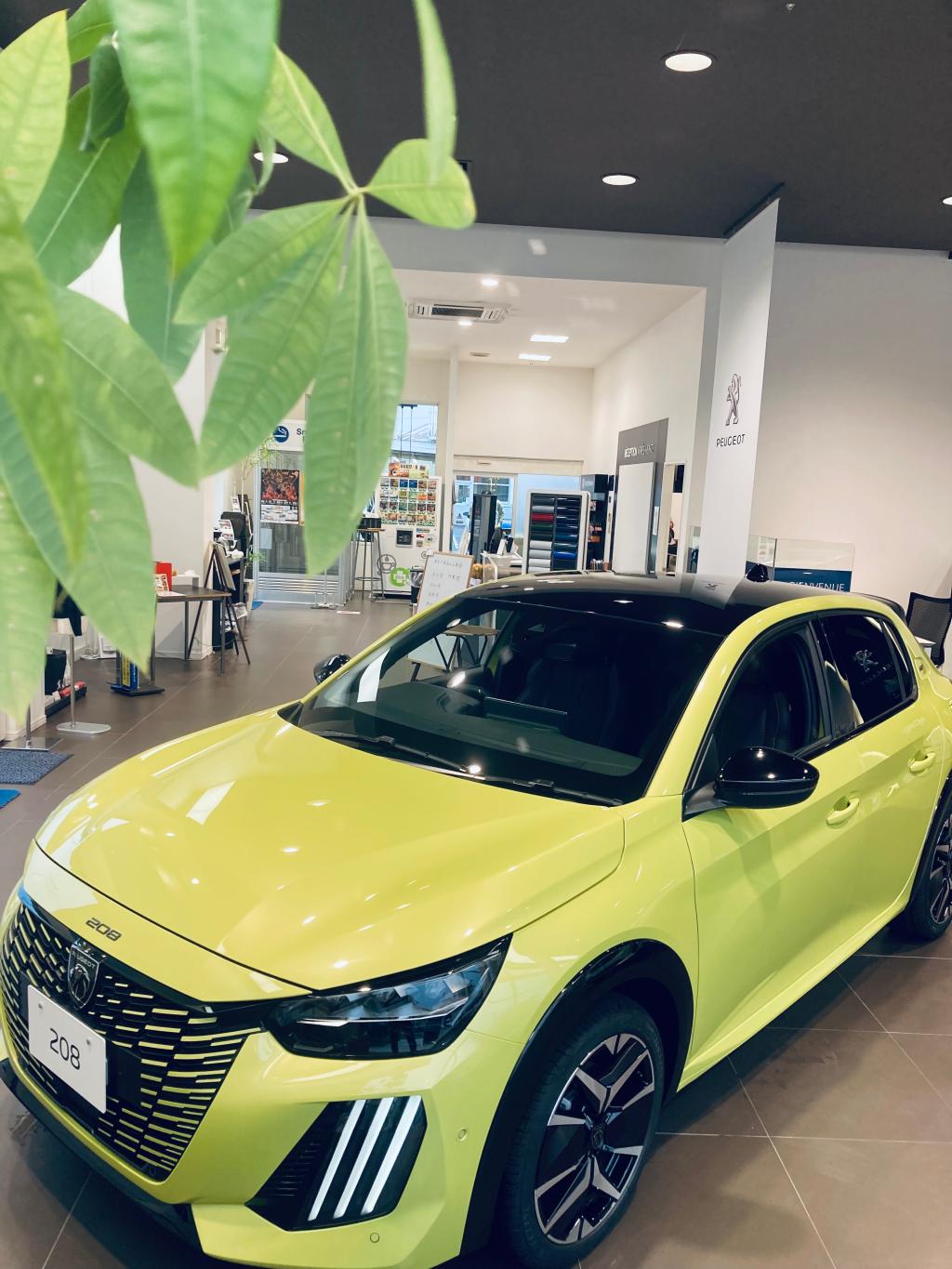 NEW208 IN PEUGEOT山口