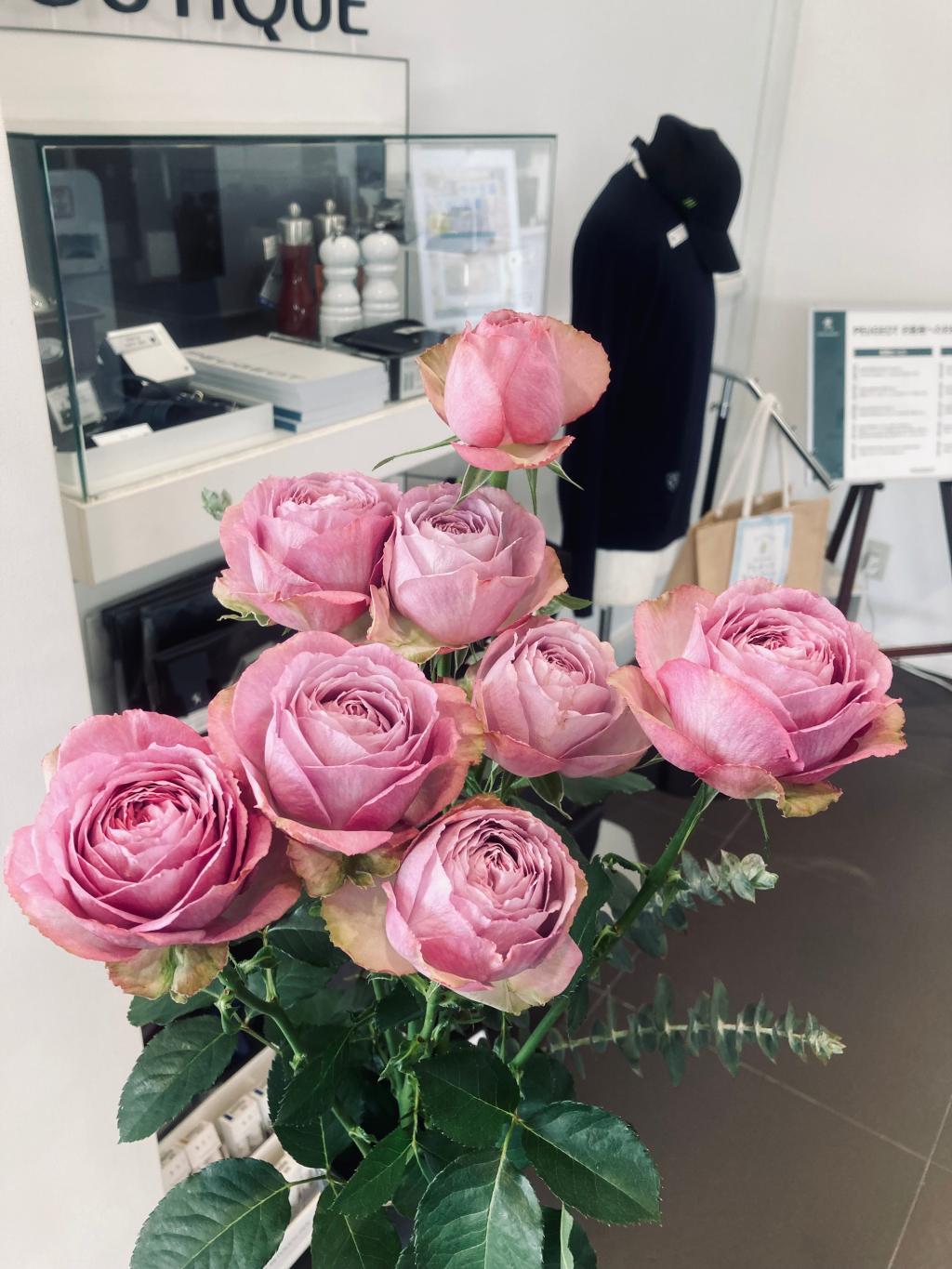 今週の花は薔薇